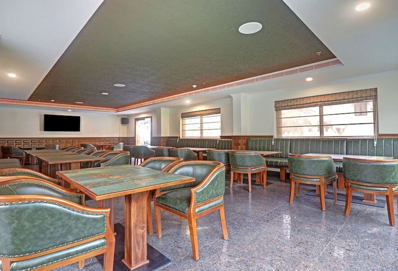 Hotel Treebo Premium Vahada