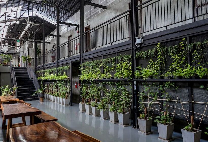 Premier Hostel Chiang Mai