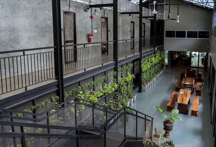 Premier Hostel Chiang Mai