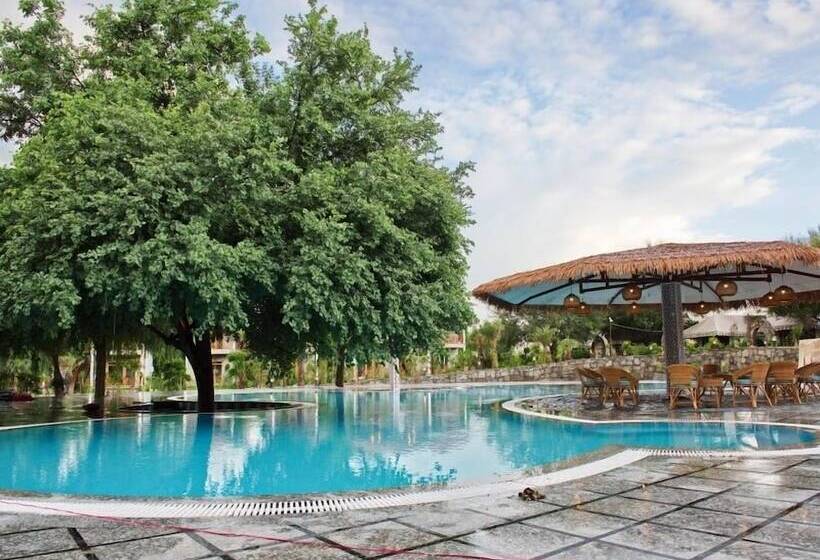 Wild Rose Resort And Spa