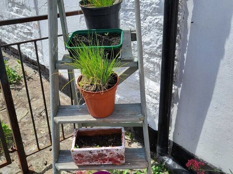 Bed and Breakfast 23a High St