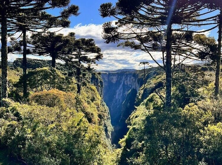 호텔 Costão Da Fortaleza Lodge