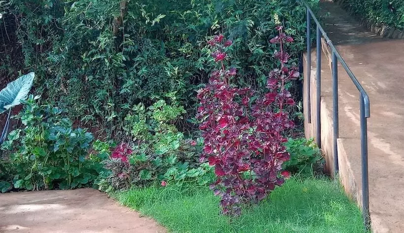 هتل Karatu Safari Camp Lodge