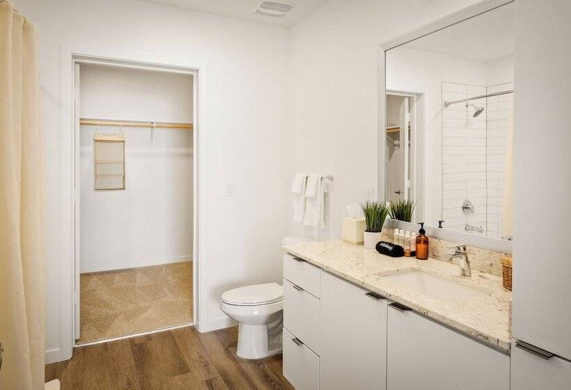 Locale Midtown Phoenix