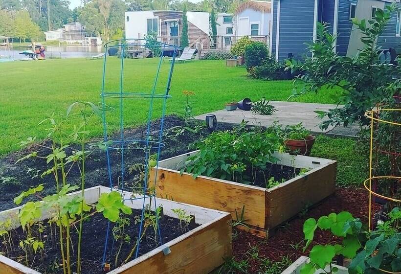 Orlando Lakefront Tiny House Community