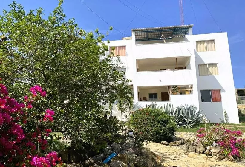 Aamiaismajoitus (B&B) Corales Punta Rusia