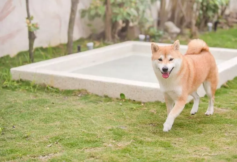 تختخواب و صبحانه Pet Taitung Homeabout