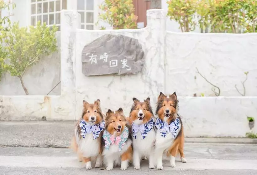 تختخواب و صبحانه Pet Taitung Homeabout