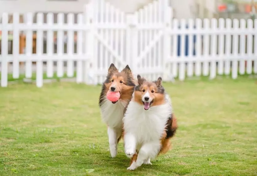 تختخواب و صبحانه Pet Taitung Homeabout