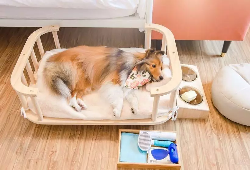 تختخواب و صبحانه Pet Taitung Homeabout