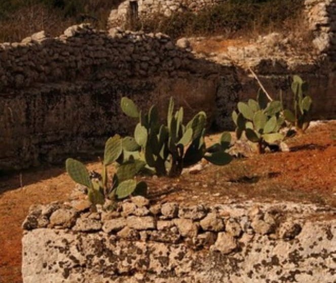 تختخواب و صبحانه Room In Bb   Casa Dulcamara Centro Storico