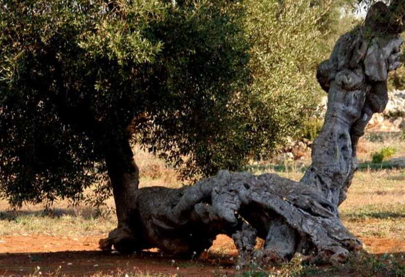 تختخواب و صبحانه Room In Bb   Casa Dulcamara Centro Storico