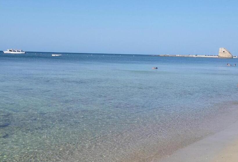 تختخواب و صبحانه Room In Bb   Casa Dulcamara Centro Storico