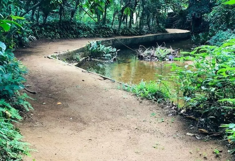 Ceylon Nature Hostel Kitulgala