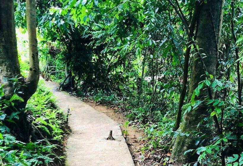 Ceylon Nature Hostel Kitulgala