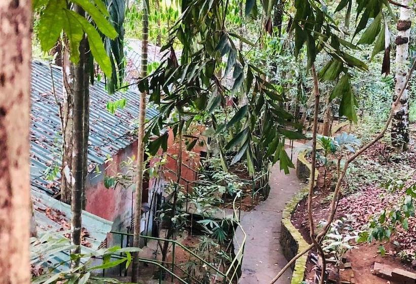 Ceylon Nature Hostel Kitulgala