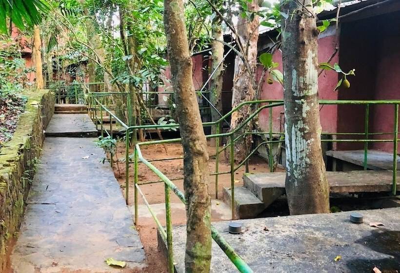 Ceylon Nature Hostel Kitulgala