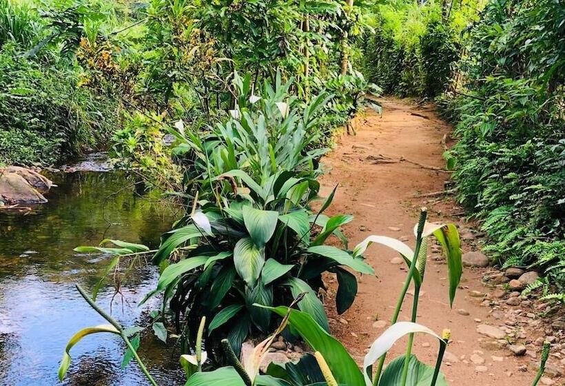 Ceylon Nature Hostel Kitulgala