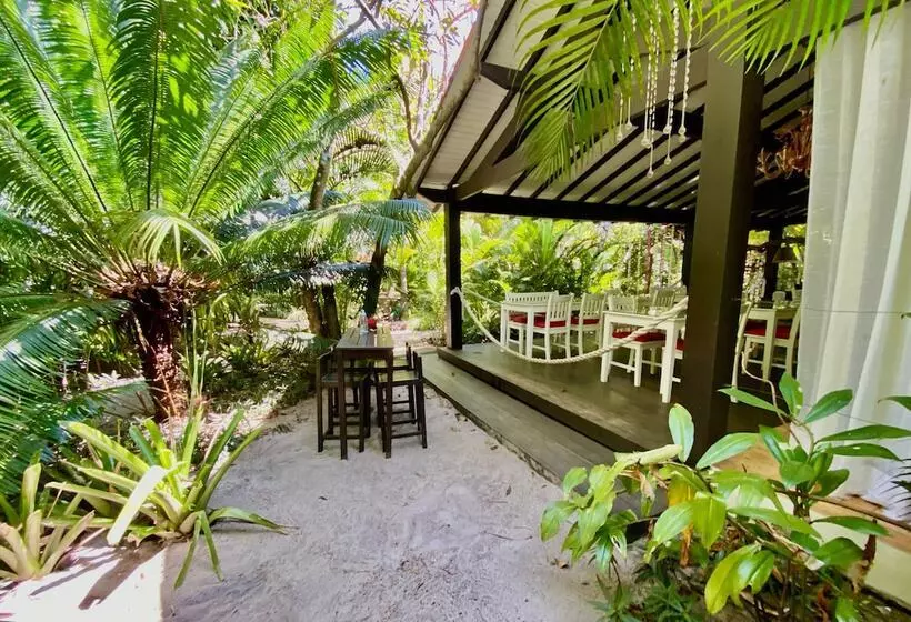 簡易ホテル Pousada Mangueira Boutique