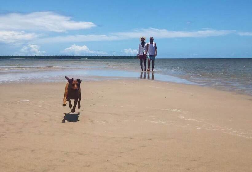 客栈  Pousada Mangueira Boutique