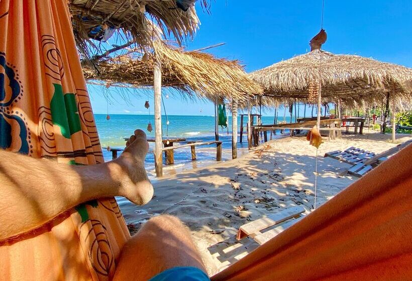 客栈  Pousada Mangueira Boutique