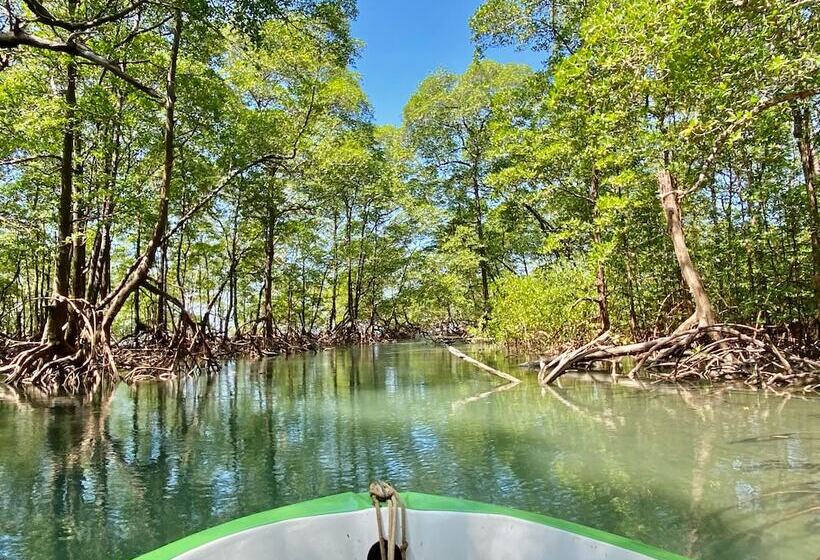 客栈  Pousada Mangueira Boutique