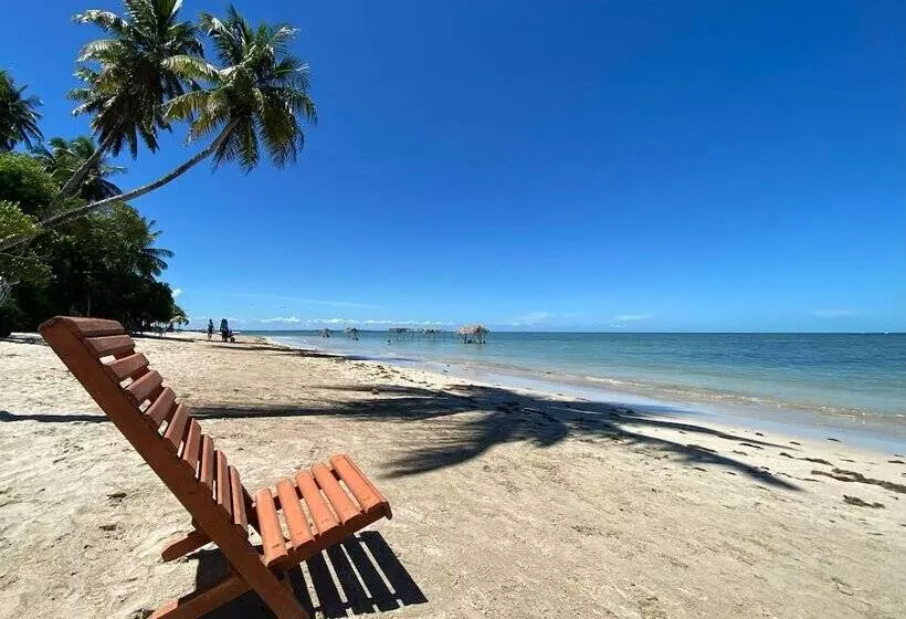 簡易ホテル Pousada Mangueira Boutique