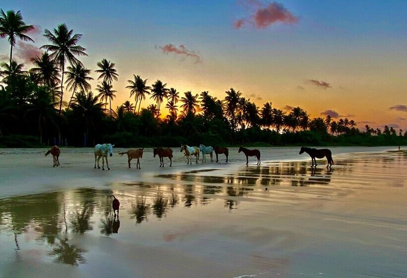 客栈  Pousada Mangueira Boutique