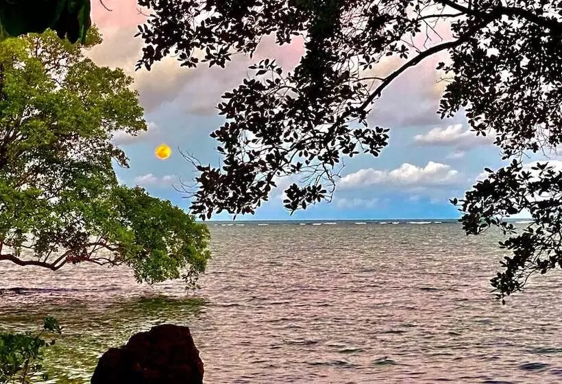 簡易ホテル Pousada Mangueira Boutique