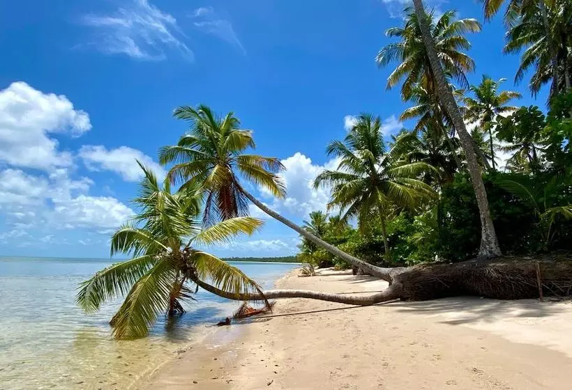 簡易ホテル Pousada Mangueira Boutique