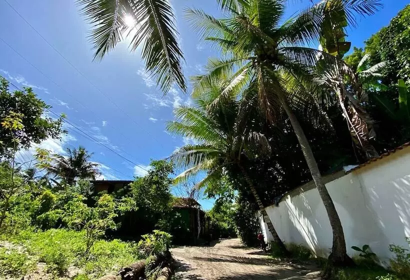 簡易ホテル Pousada Mangueira Boutique