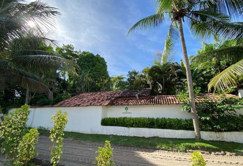 客栈  Pousada Mangueira Boutique