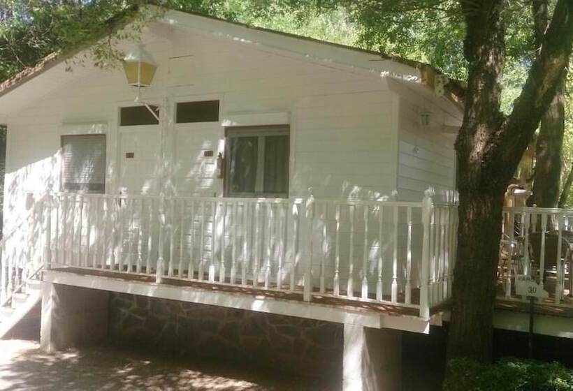 酒店 Bungalows & Albergue La Playa