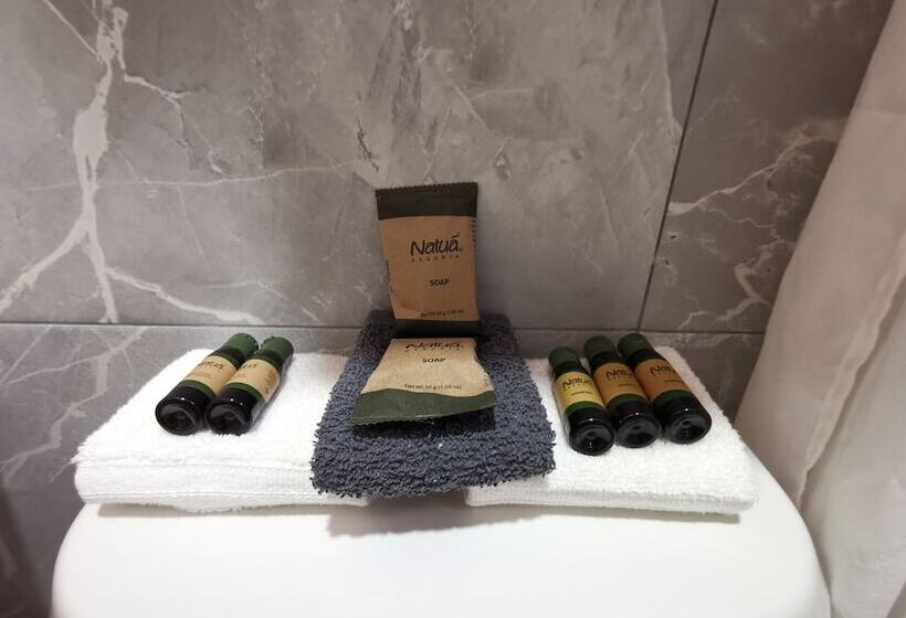 Отель Casa Acueducto Lujo Cultural