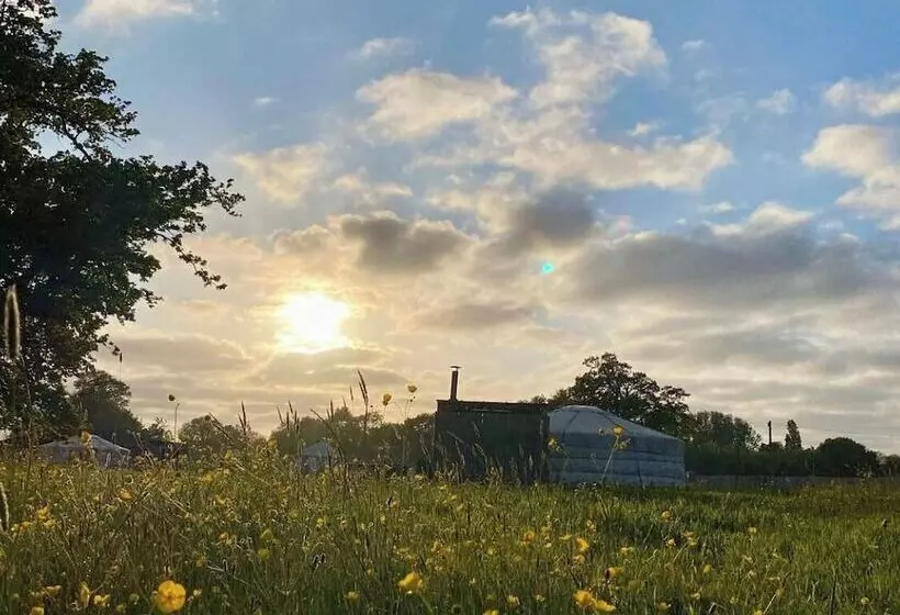 Hotelli Glamp And Tipple