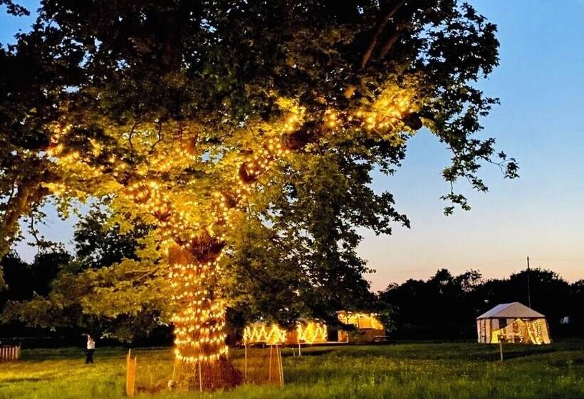 Отель Glamp And Tipple