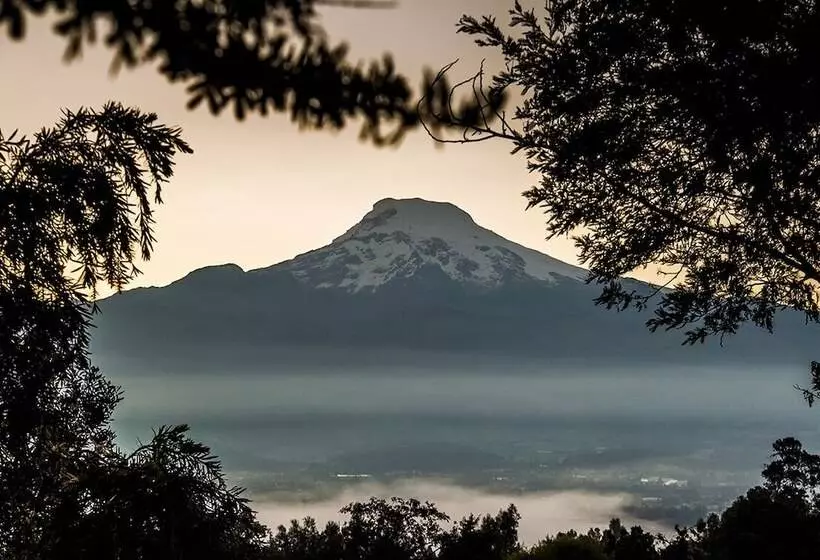 ホテル Hacienda Hosteria San Luis