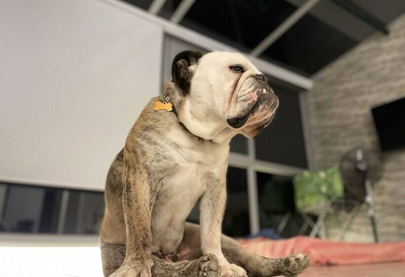 פנסיון La Vista Ecohouse