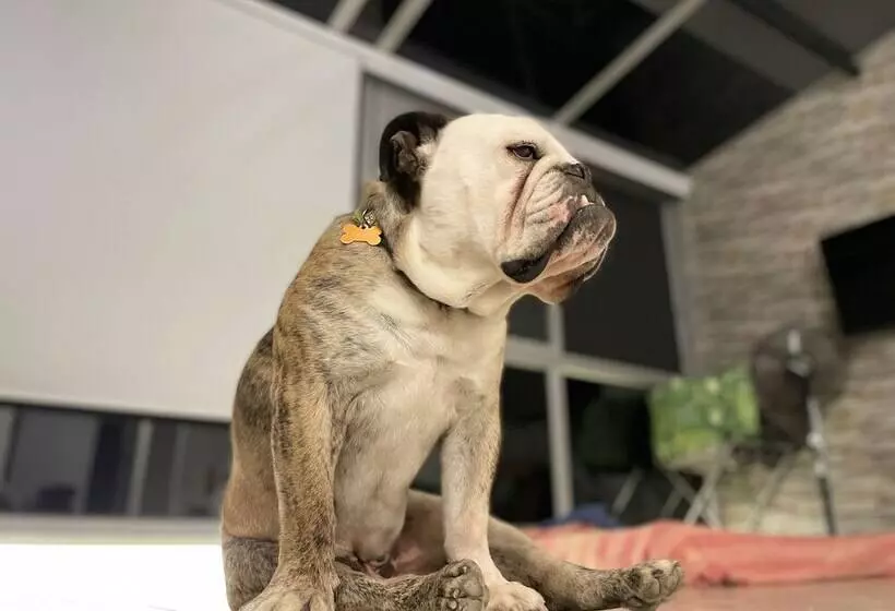 ペンション La Vista Ecohouse