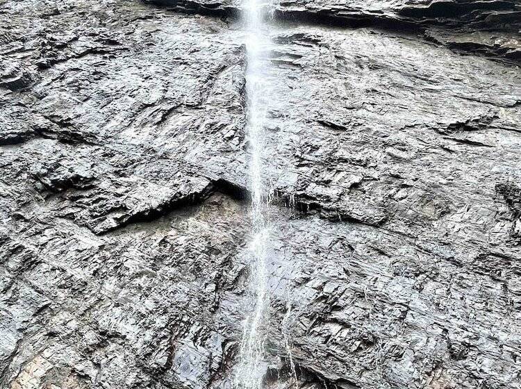 פנסיון La Vista Ecohouse