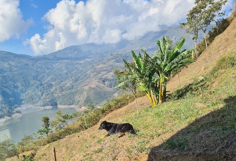 פנסיון La Vista Ecohouse