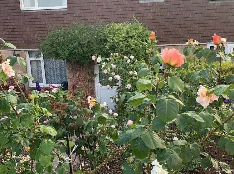 Residenssi Captivating 2 Bed House In Amesbury, Salisbury