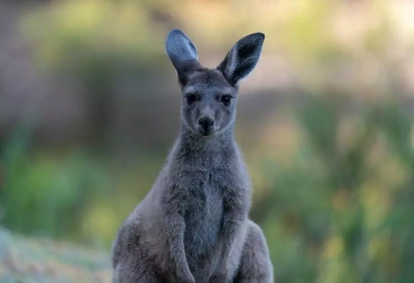 Lomakeskus Noble River Estate