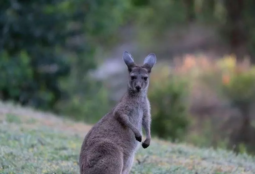 Lomakeskus Noble River Estate