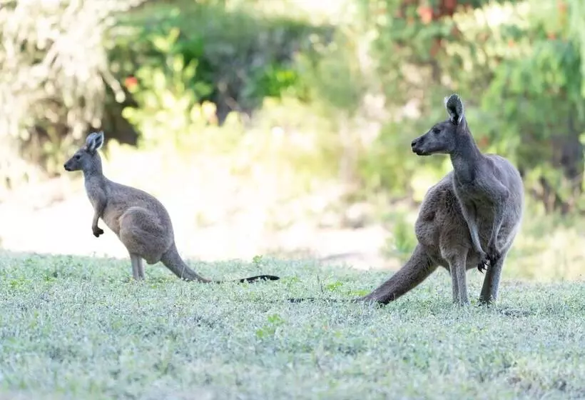 Lomakeskus Noble River Estate
