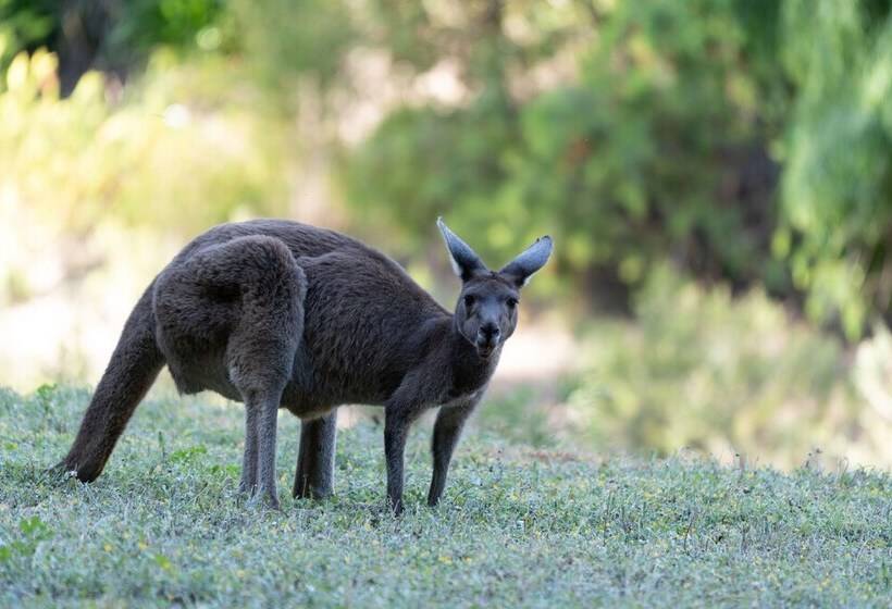 منتجع Noble River Estate