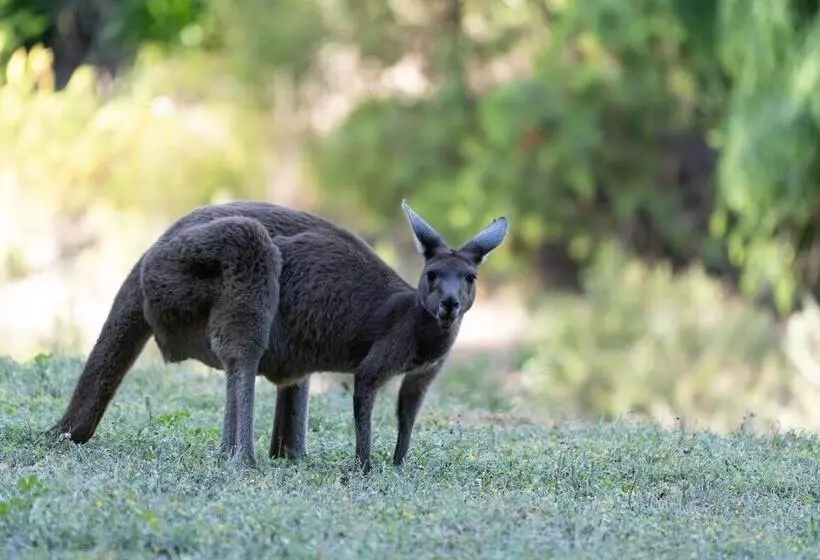 Lomakeskus Noble River Estate