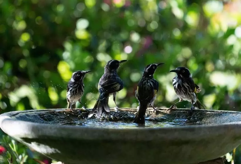 Lomakeskus Noble River Estate