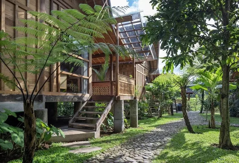 Rumah Kayu Resort