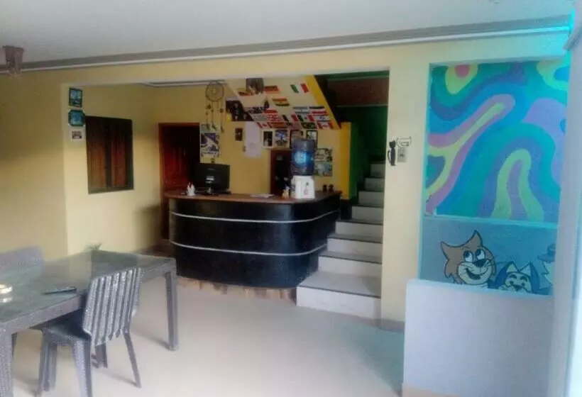 هاستل Wayky S Club And Hostal